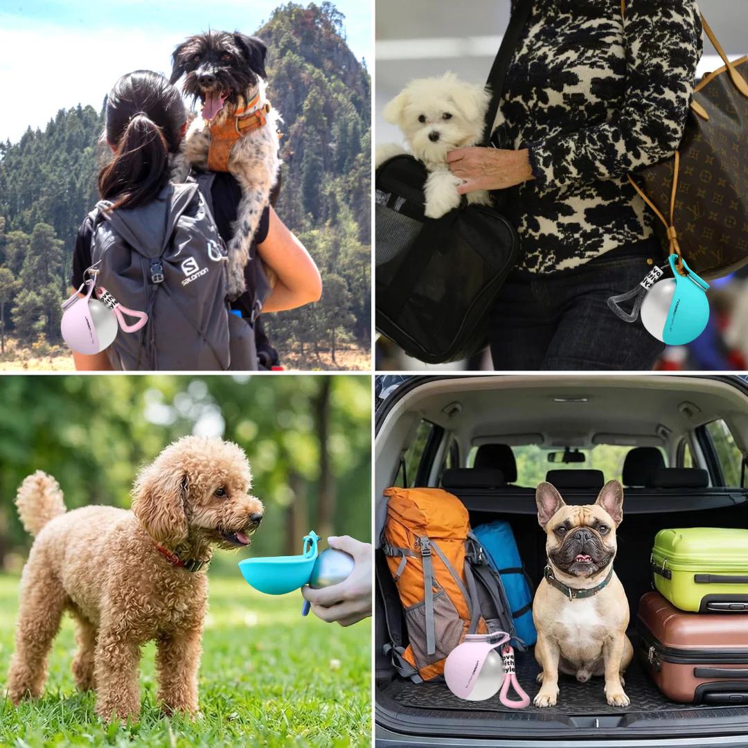 Portable Pet Water Bottle Outdoor Drinking Cup